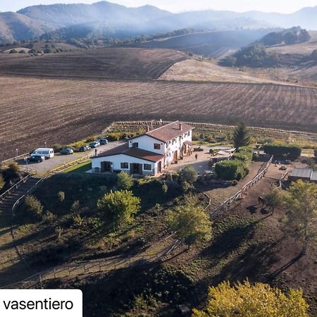 Agriturismo Il Riccio Монтіккьо Екстер'єр фото