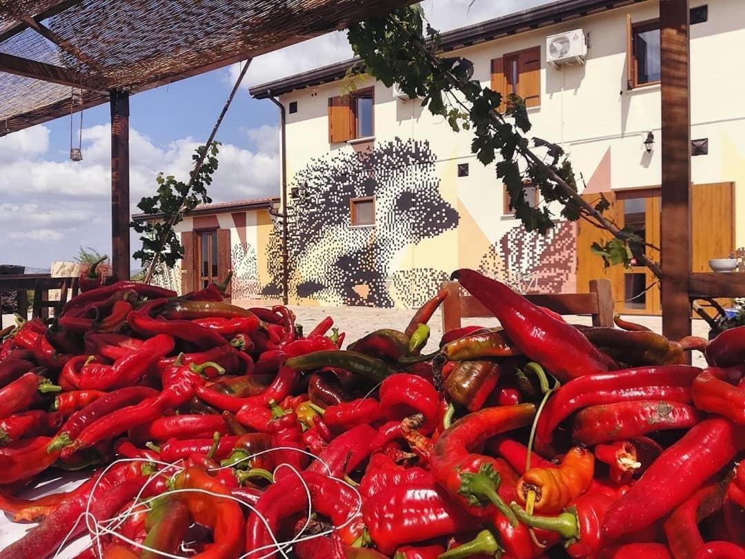 Agriturismo Il Riccio Монтіккьо Екстер'єр фото