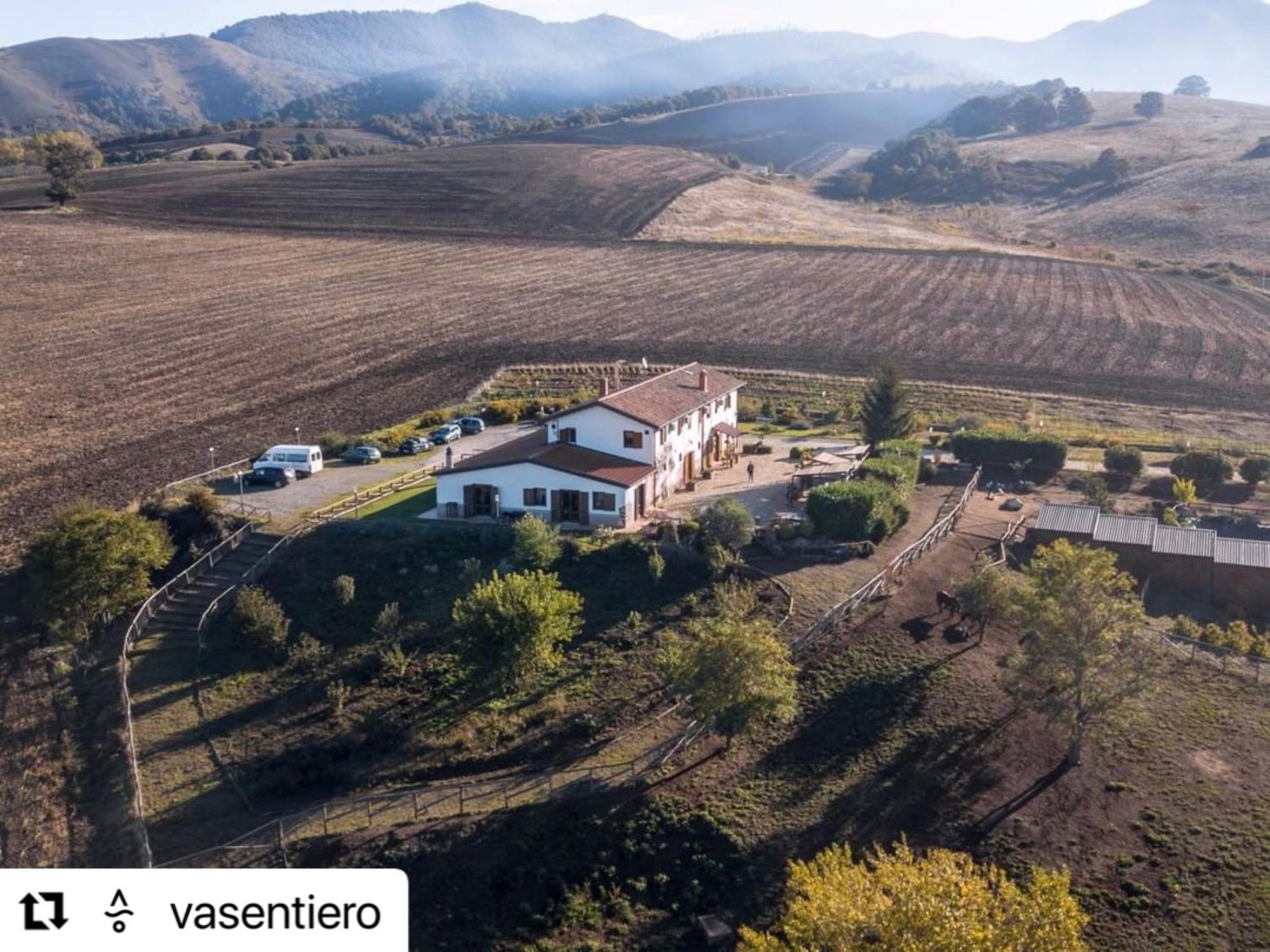 Agriturismo Il Riccio Монтіккьо Екстер'єр фото