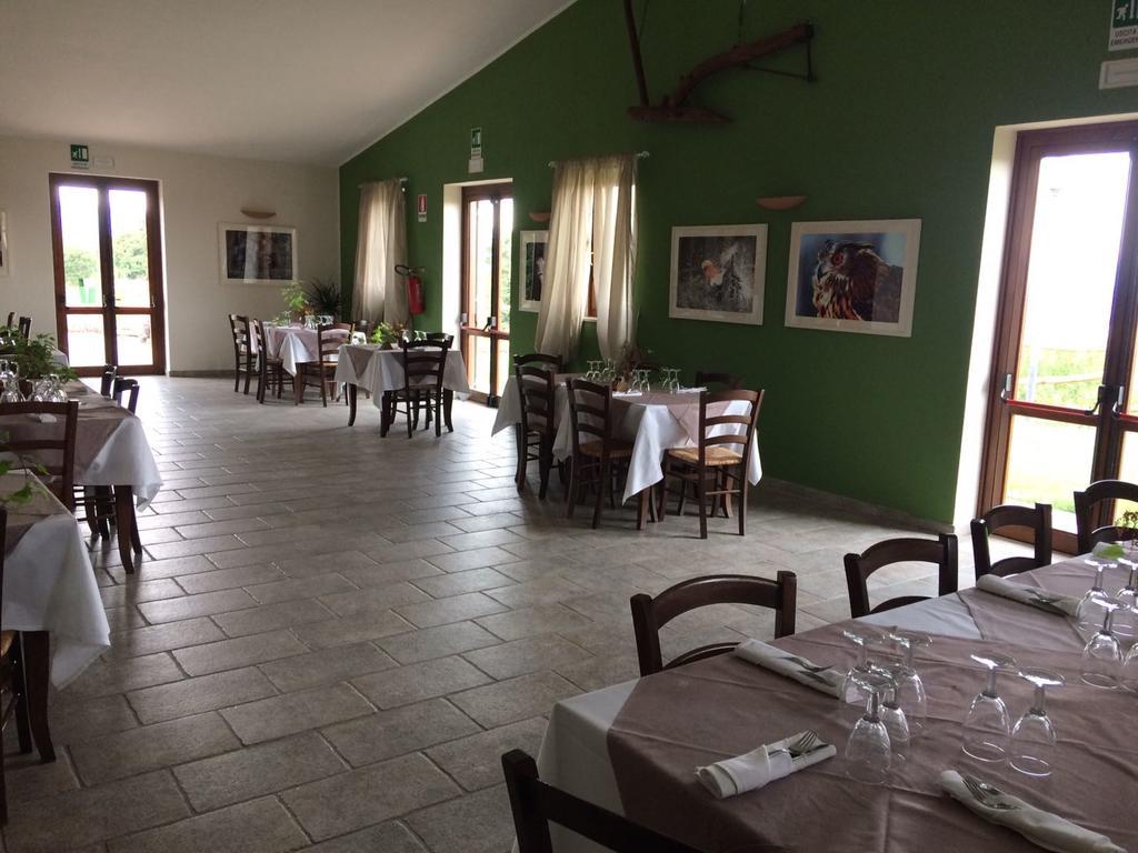 Agriturismo Il Riccio Монтіккьо Екстер'єр фото