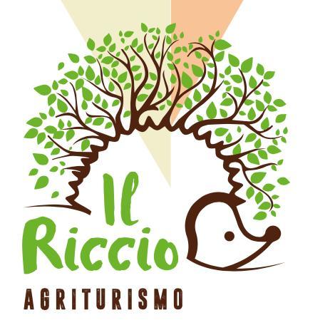 Agriturismo Il Riccio Монтіккьо Екстер'єр фото