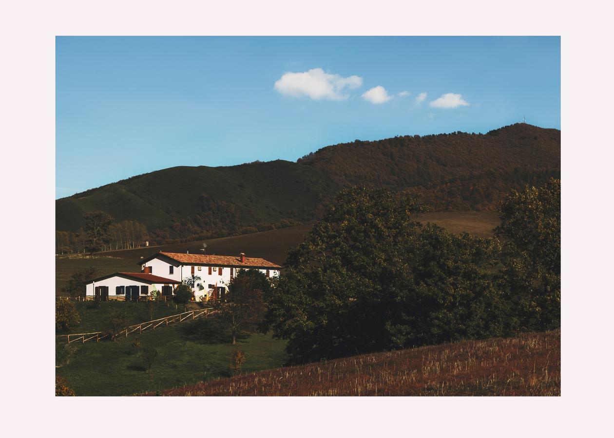 Agriturismo Il Riccio Монтіккьо Екстер'єр фото