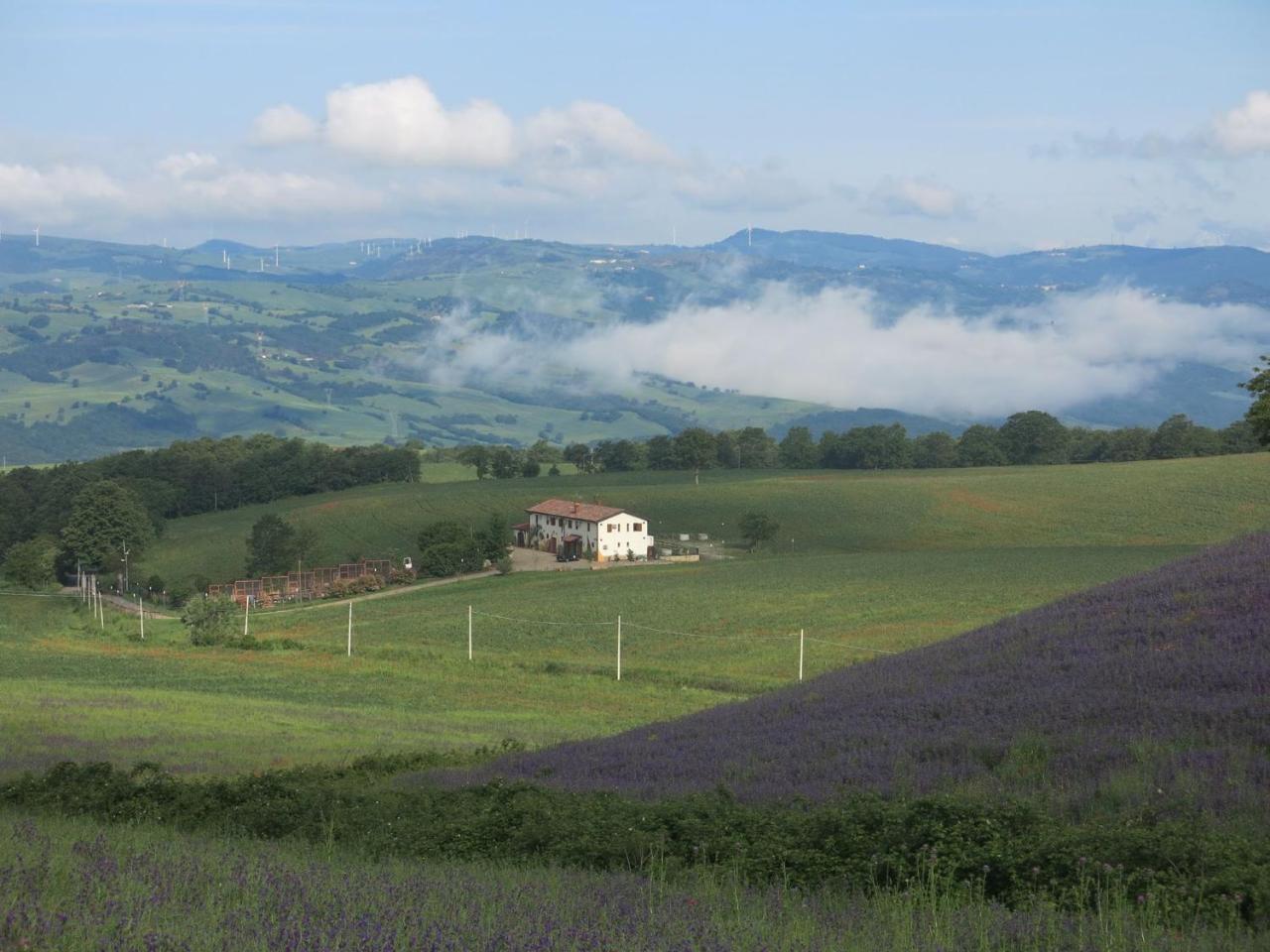 Agriturismo Il Riccio Монтіккьо Екстер'єр фото